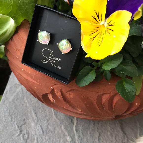 Pierced Earrings in a gift box - look like opals - Picture 2 of 8